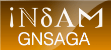 GNSAGA-Indam official logo